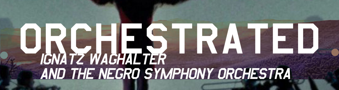 Orchestrated: Ignatz Waghalter and the Negro Symphony Orchestra Header Background