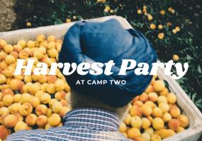 Harvest Party At Camp Two