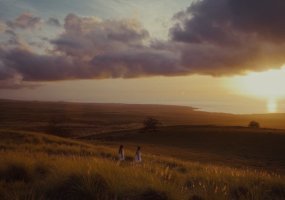 HE MOʻOLELO WAHI PANA (A STORIED LANDSCAPE)