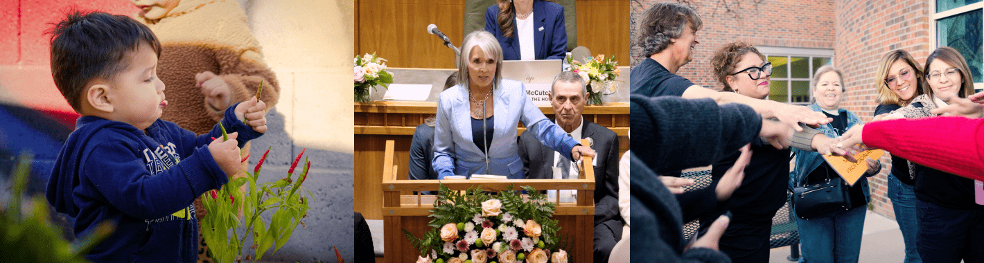 North Star Rising Header Background